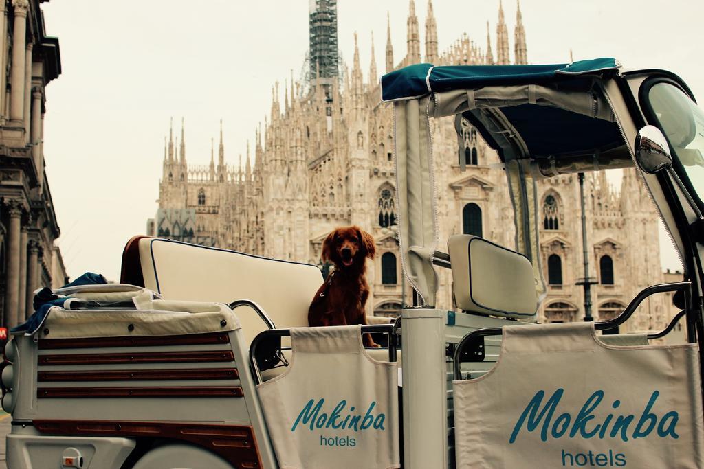 Mokinba Montebianco Milano